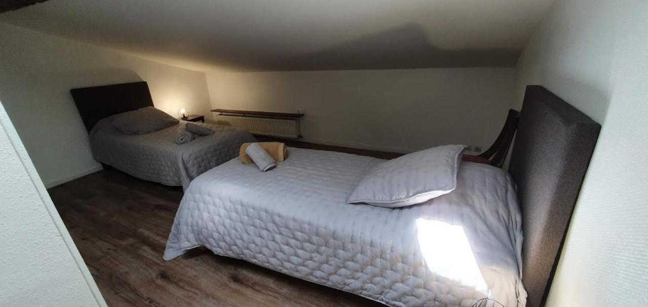 Gite De 420 Metres Carres Dans Chateau L'Ange Au Violon Jusqu'A 13 Couchages Conques-sur-Orbiel Buitenkant foto