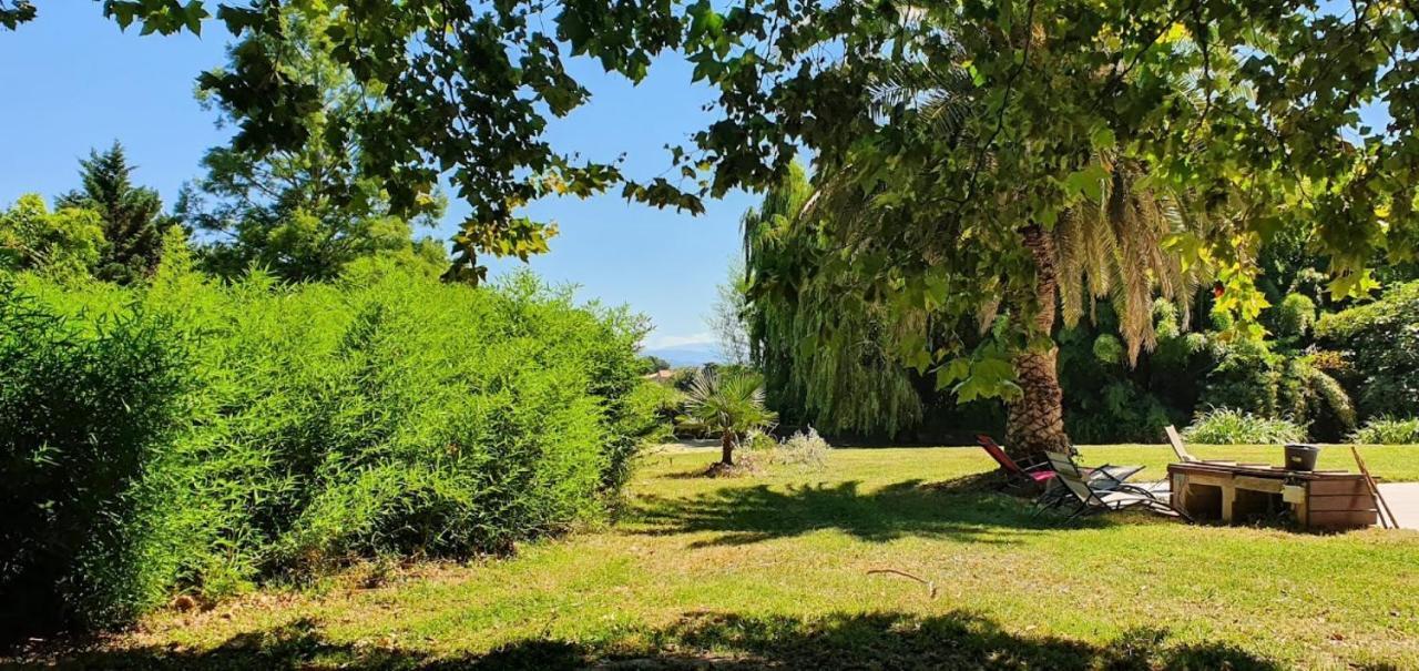 Gite De 420 Metres Carres Dans Chateau L'Ange Au Violon Jusqu'A 13 Couchages Conques-sur-Orbiel Buitenkant foto